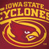 Iowa State University Cyclones MacBook Skins